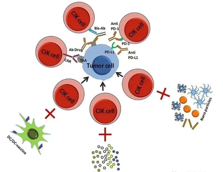 盘点9种免疫细胞疗法，分析不同疗法之间的差异及优劣势
