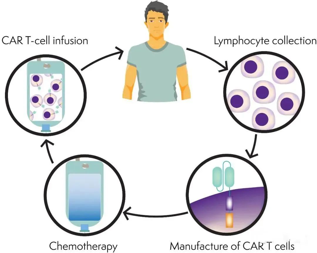 盘点 | 9种不同免疫细胞治疗之间的差异及优劣势比较