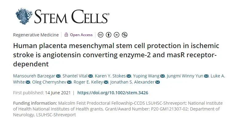 再生修复+旁分泌！《STEM CELLS》：干细胞可防止中风后进一步脑损伤