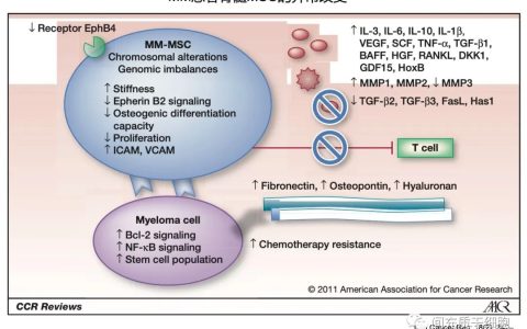 间充质干细胞在多发性骨髓瘤中的角色