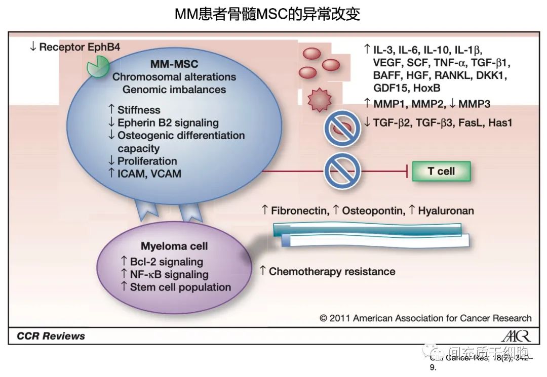 间充质干细胞在多发性骨髓瘤中的角色