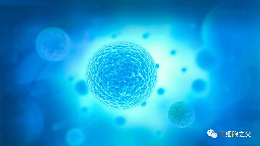 院士之声丨近6年，43位院士高度评价干细胞产业发展