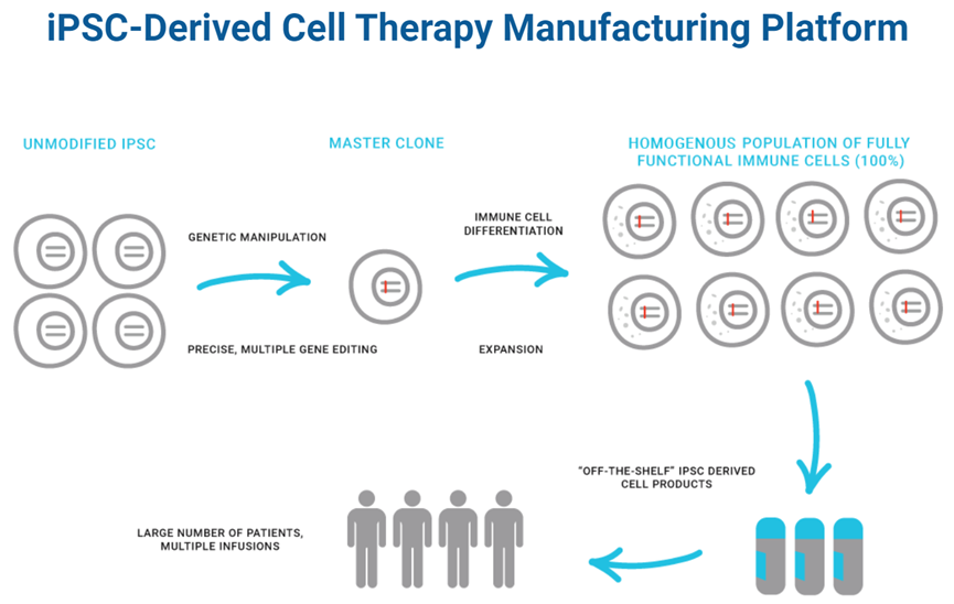 40家干细胞治疗企业和技术管线