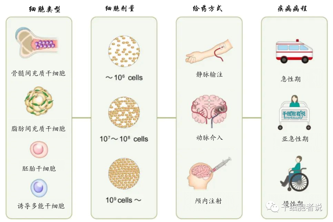 关山难越：全球干细胞治疗缺血性卒中临床试验现状梳理！