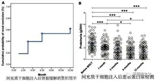 干细胞修复肾脏损伤，为患者临床治疗新选择！