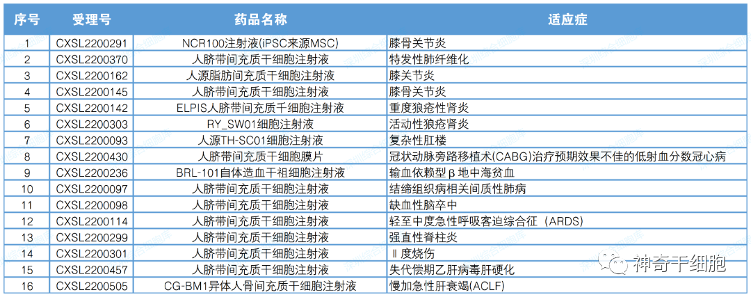 2023年干细胞发展将迎来爆发期，干细胞新药申报明显加快