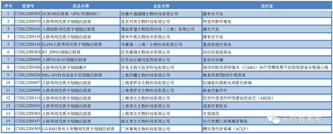 国内首个干细胞药物离我们还有多远？2022年度干细胞药物申报显著增长