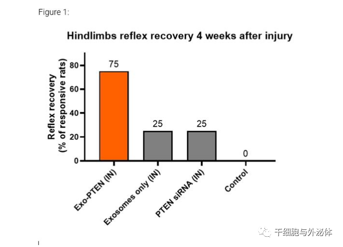 临床证明外泌体治疗脊髓损伤，运动、反射和感觉明显改善