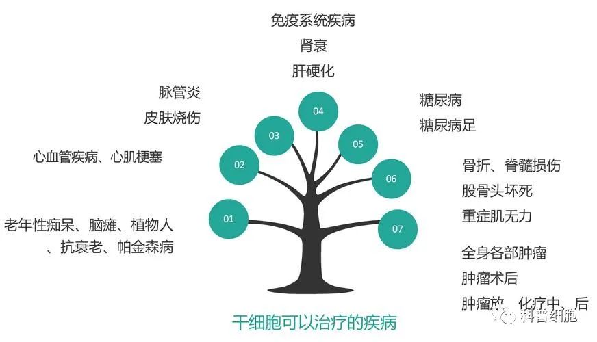 选择干细胞治疗还是免疫细胞治疗，你了解吗？