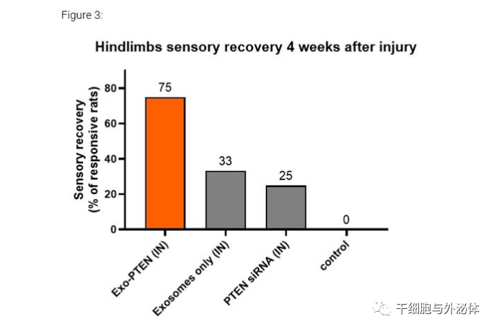 临床证明外泌体治疗脊髓损伤，运动、反射和感觉明显改善