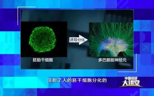 中国科学院周琪院士：推动干细胞发展，就是要打造普惠、安全、有效的干细胞疗法