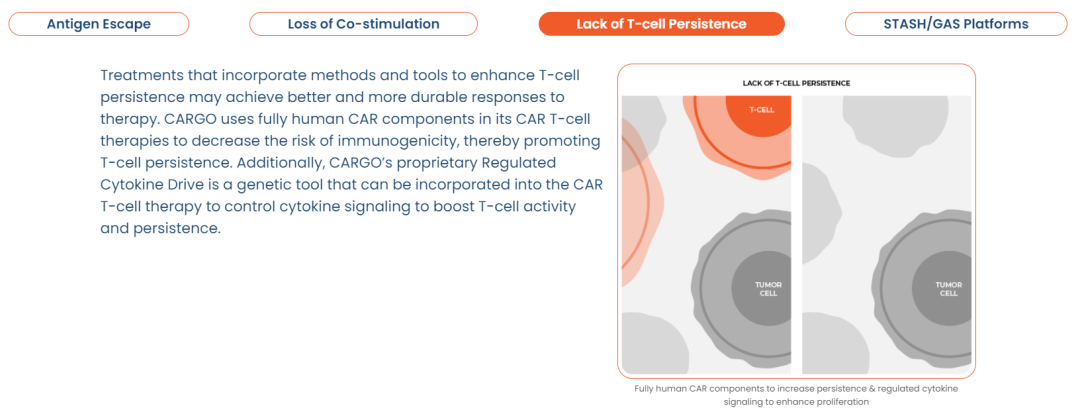 CAR-T疗法公司CARGO获2亿美元融资