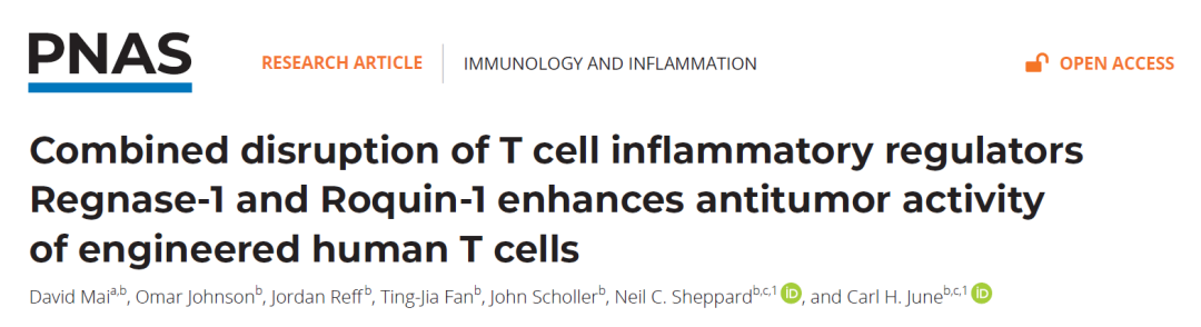 CAR-T之父最新论文，敲除两个基因，改善实体瘤治疗效果