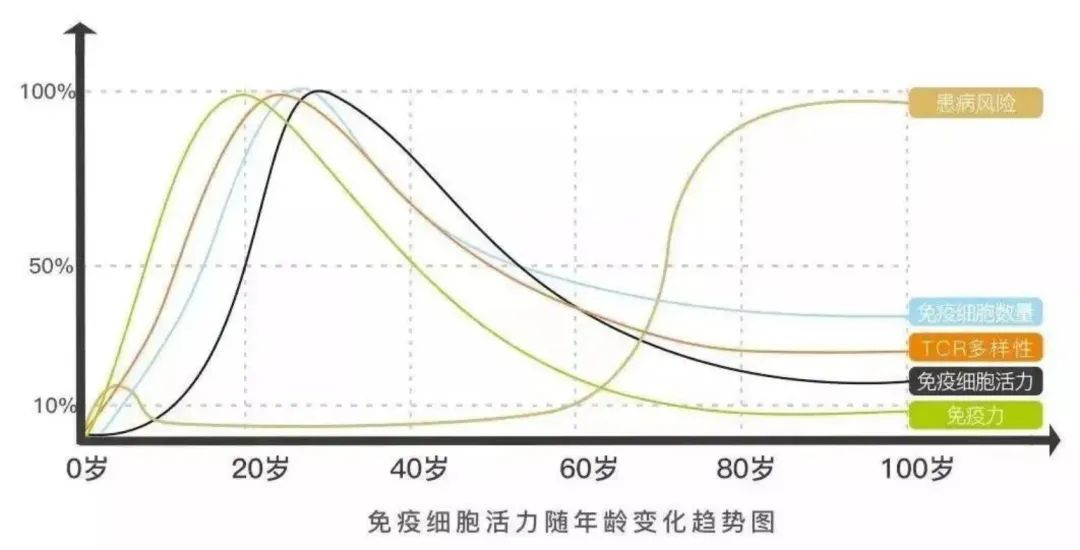 国际顶尖学术期刊Nature：衰老是细胞的停滞