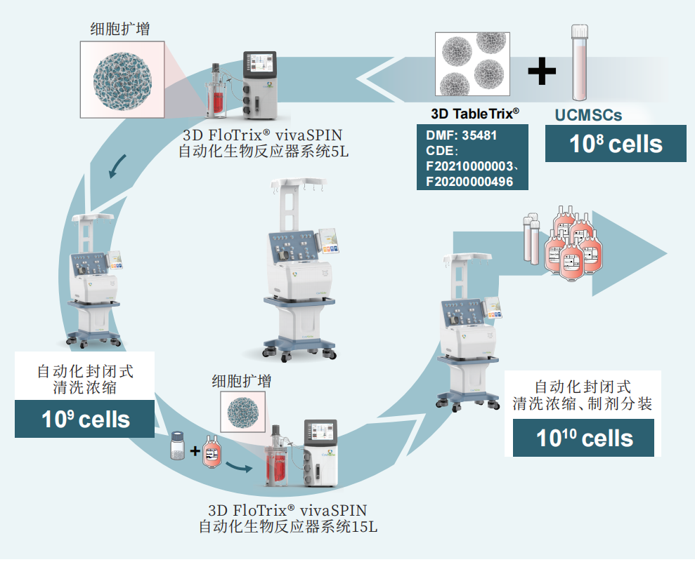 干货：优化细胞规模化制备环节，实现“百亿”量级干细胞生产制备