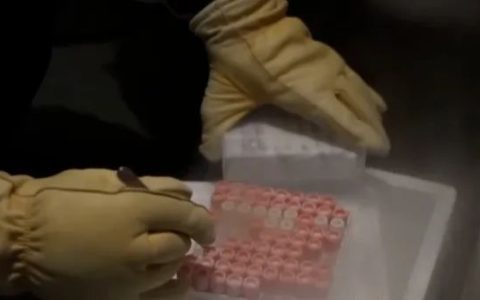 央视新闻：干细胞治疗近年逐渐成熟并进入临床转化
