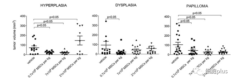重大争议有答案！全身用同种异体间充质干细胞不会加重癌前病变发展！