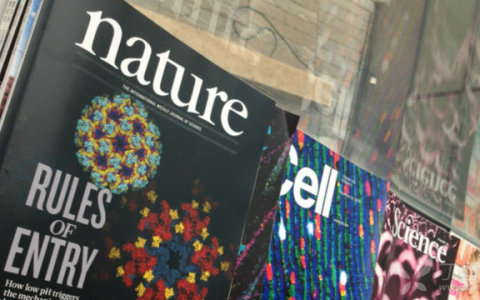 国际顶尖学术期刊Nature：衰老是细胞的停滞