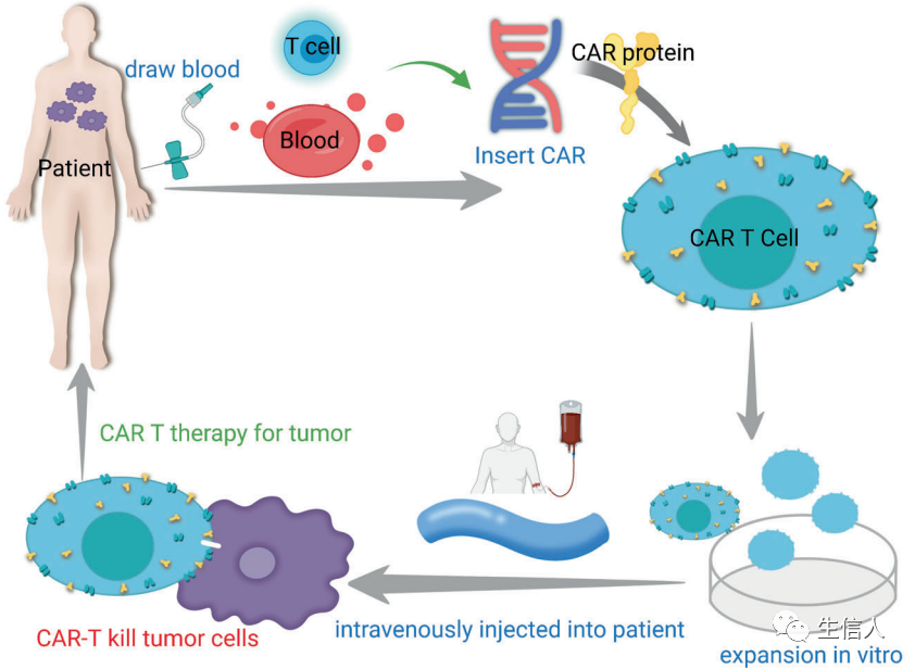 一文详述肿瘤免疫治疗！