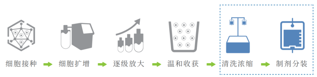 干货：优化细胞规模化制备环节，实现“百亿”量级干细胞生产制备