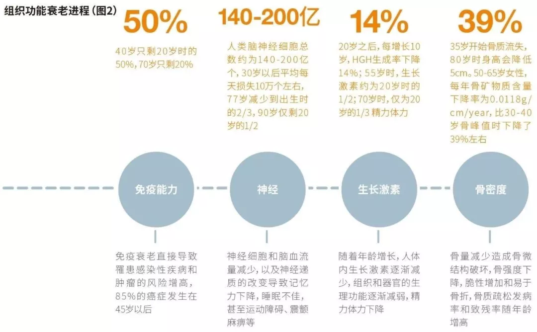 国际顶尖学术期刊Nature：衰老是细胞的停滞