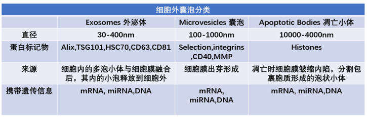 学术前沿丨外泌体技术及其主要研究进展概述