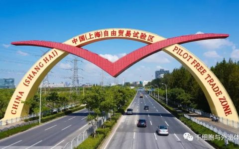 外高桥募资35亿元获受理，打造细胞与基因治疗跨境研发生产先行区