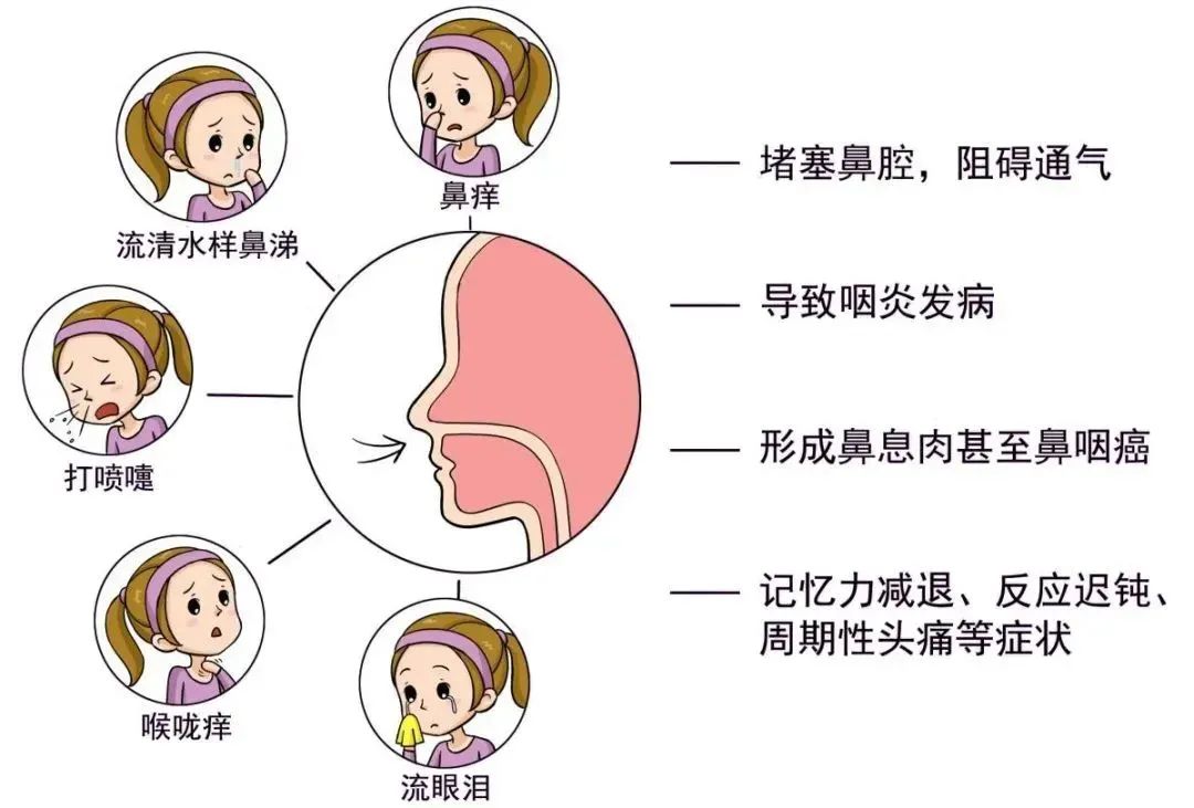 干细胞彻底终结过敏之源，改善易过敏体质，调节免疫失衡