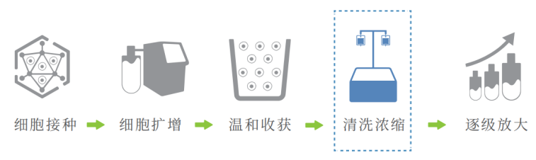 干货：优化细胞规模化制备环节，实现“百亿”量级干细胞生产制备