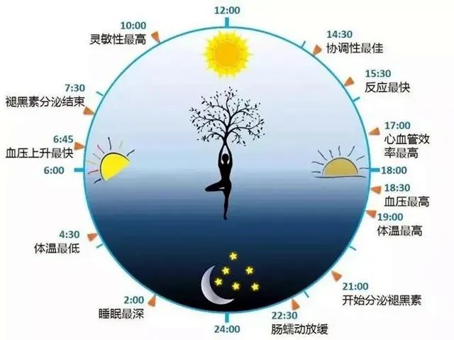少睡短命！低质量睡眠影响免疫，NK细胞活性下降70%！
