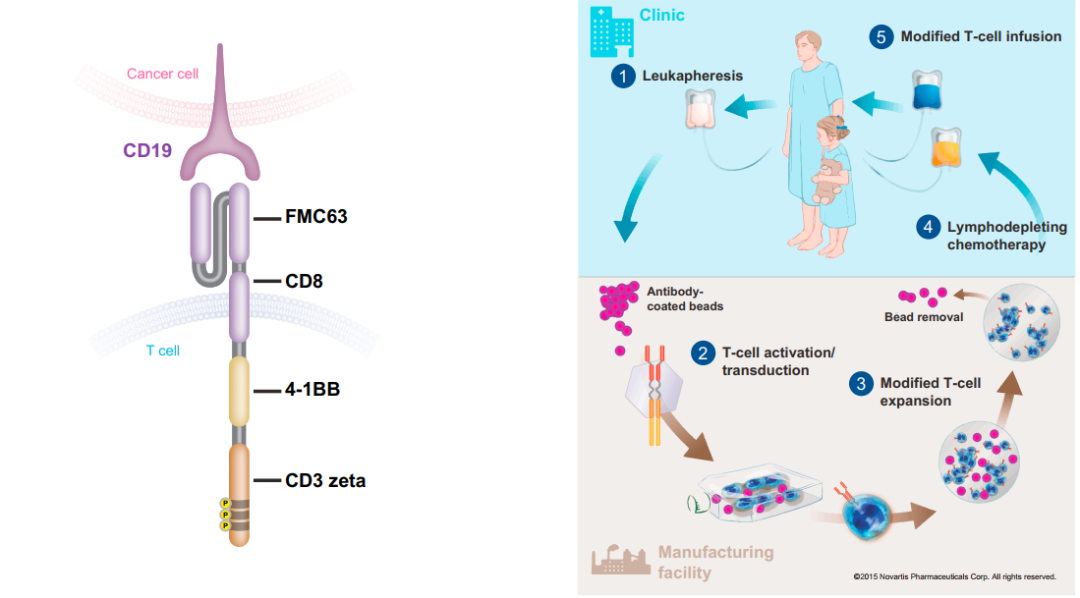 Nature Reviews：善用多维组学数据，推进CAR-T细胞疗法