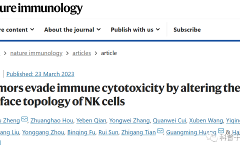 Nature子刊：中国科学技术大学发现NK细胞失去抗癌功能新机制