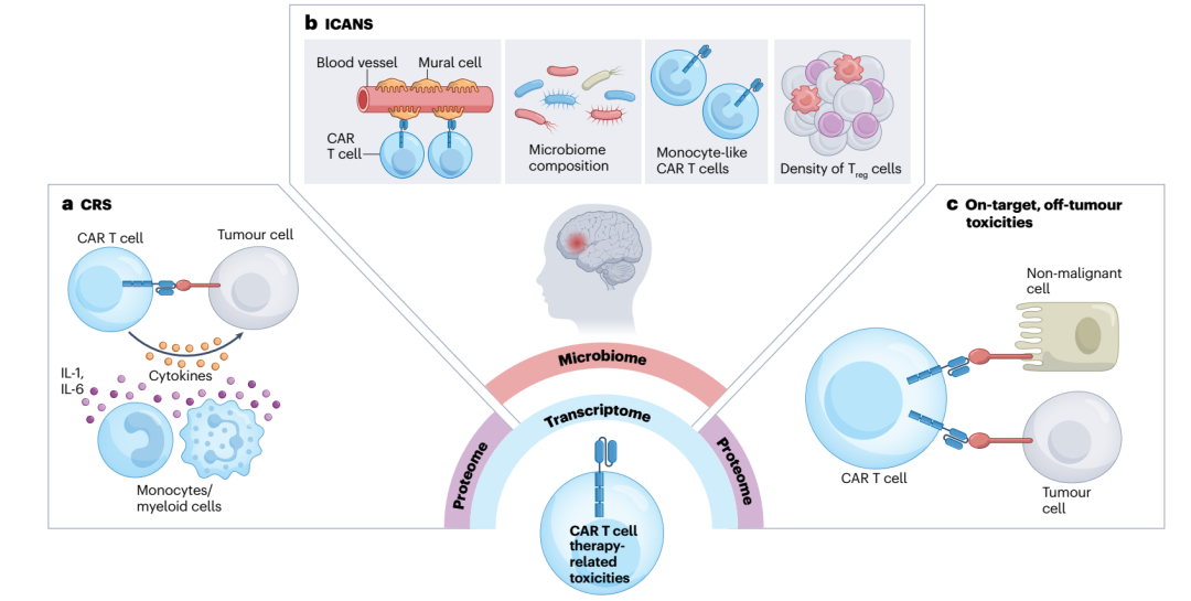 Nature Reviews：善用多维组学数据，推进CAR-T细胞疗法