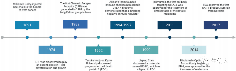 一文详述肿瘤免疫治疗！