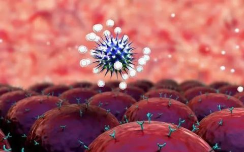 干细胞与免疫细胞，他们有啥不一样？