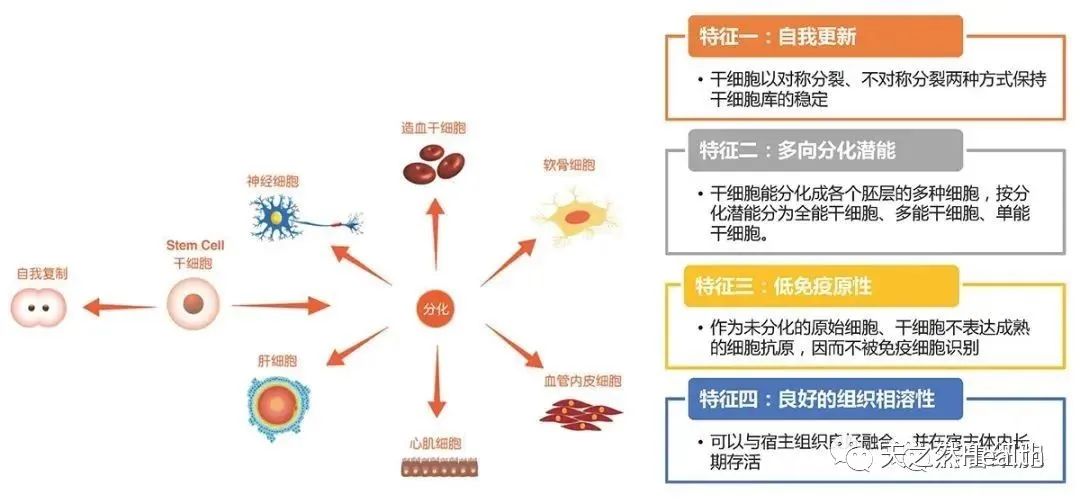 想要健康常在，身体里的“这三样”必须重视！