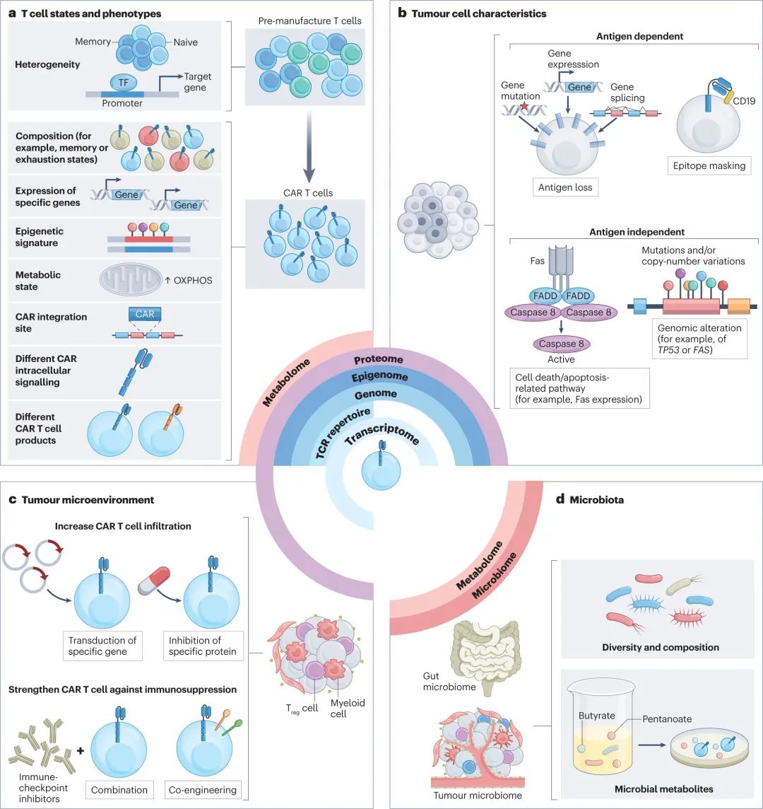 Nature Reviews：善用多维组学数据，推进CAR-T细胞疗法