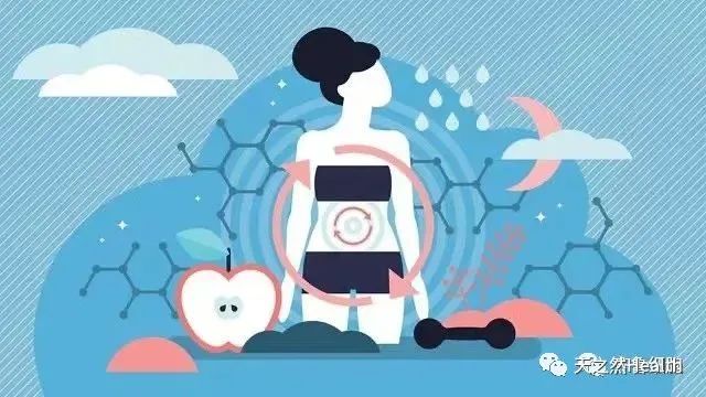 想要健康常在，身体里的“这三样”必须重视！