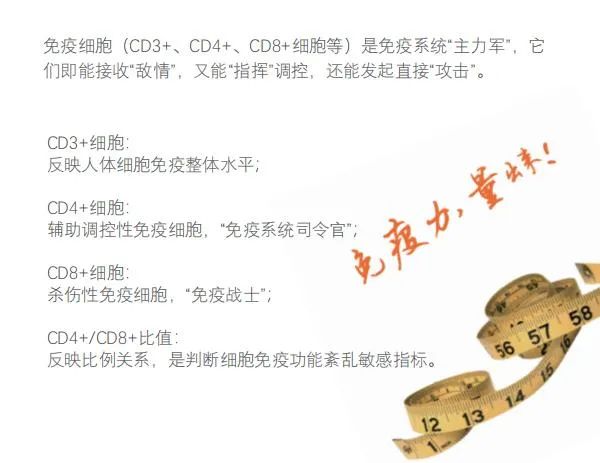 免疫细胞与健康的八大关系