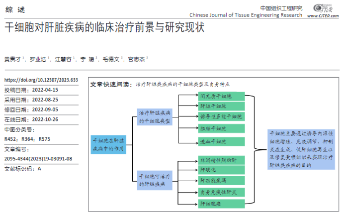 干细胞：冲破众多疾病治疗瓶颈，再造健康、为生命重塑提供无限可能