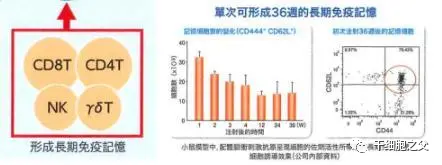 肿瘤患者接受免疫治疗多久起效？疗效能持续多长时间？