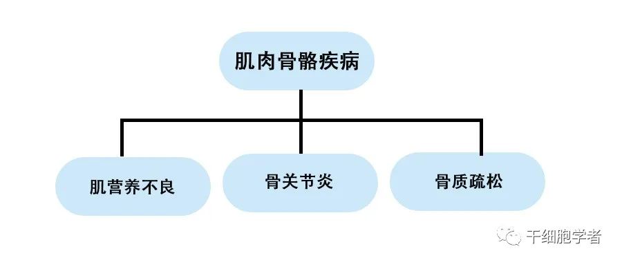 干细胞治疗应用病症合集 （三）