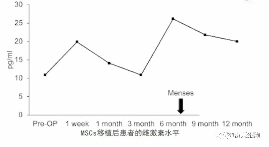 干细胞逆转更年期，让女性健康更优雅