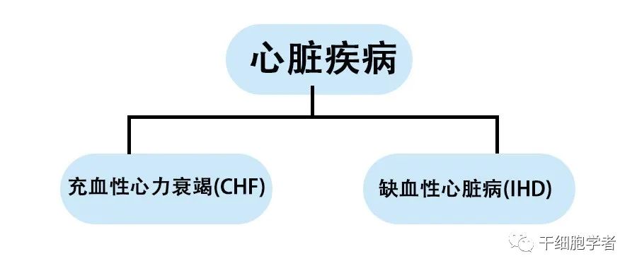 干细胞治疗应用病症合集  （一）