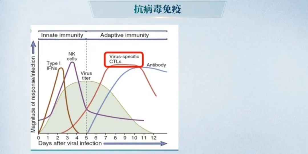 董晨教授：免疫治疗让难以攻克的疾病有了治愈的希望