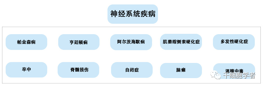 干细胞治疗应用病症合集  （一）