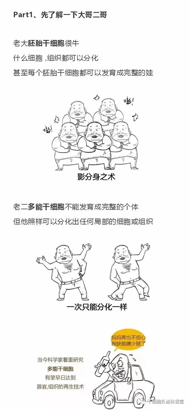 【漫画图解】干细胞怎么影响人的生老病死