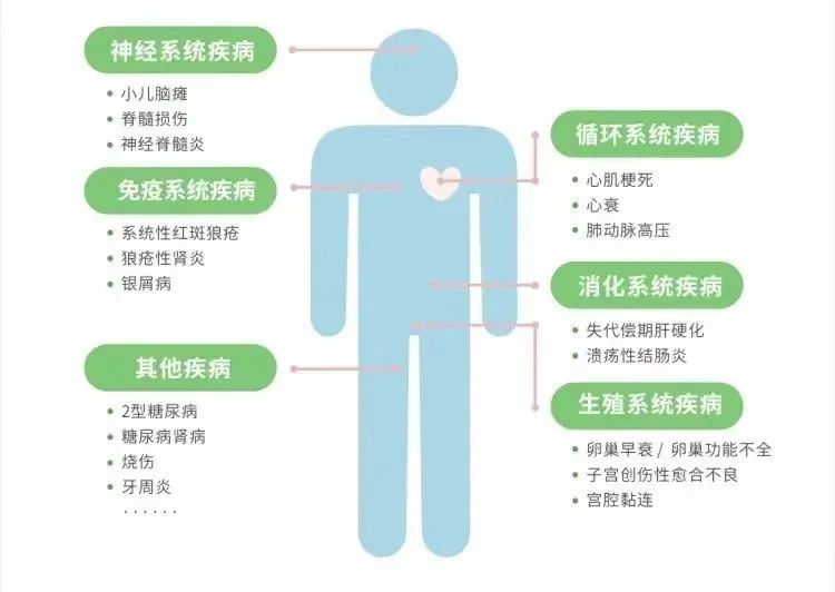 关于间充质干细胞的常见问题解答~