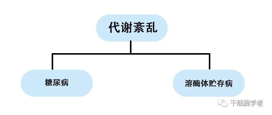 干细胞治疗应用病症合集 （二）