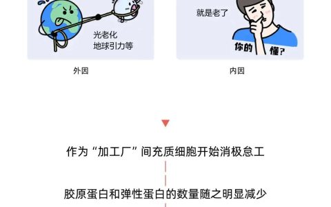 漫画｜外泌体进入皮肤后的72小时后… …